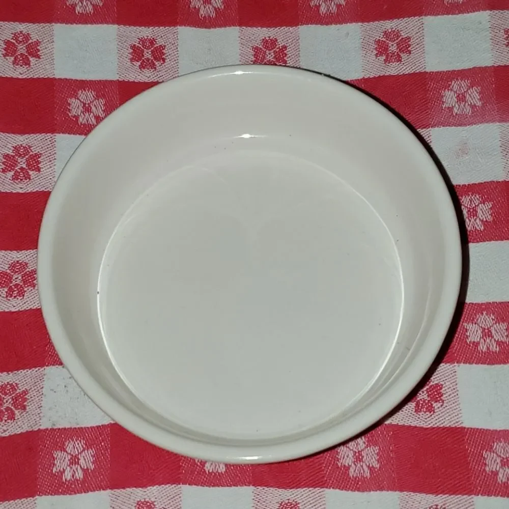 Rae Dunn by Magenta SAVOR Dish NWOT
